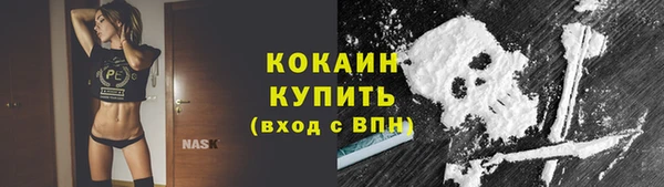 шишки Балабаново